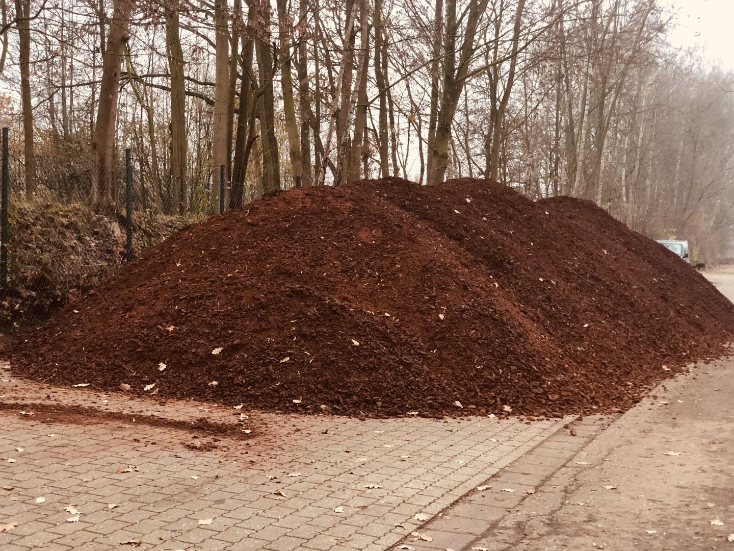 Horstmann - Rasen