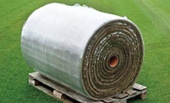Rollrasen